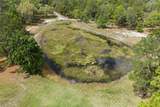 7339 Nightwalker Road - Photo 17