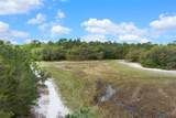 7339 Nightwalker Road - Photo 21