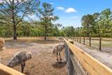 3431 Saturn Road - Photo 53