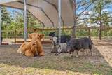 3431 Saturn Road - Photo 55