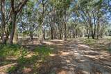 25399 Mondon Hill Road - Photo 2