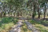 25399 Mondon Hill Road - Photo 3