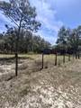 5467 Frost Point - Photo 12