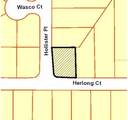  Corner Of Herlong Ct And Hollister Place - Photo 2