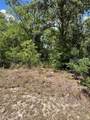 2235 Summer Place - Photo 5