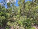 0 Day Owl Avenue - Photo 12