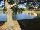 1514 Citrine Trail - Photo 5