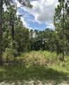 LOT 4 Florida Wren Avenue - Photo 2