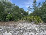18167 Parakeet Road - Photo 1