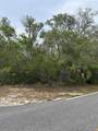 9402 Noddy Tern Road - Photo 2