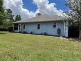10054 Hernando Ridge Road - Photo 52