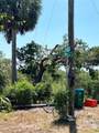 12301 Cedar Street - Photo 36