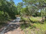 8284 Catrina Lane - Photo 8