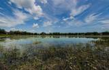 14008 Lugano Court - Photo 47