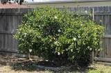 7534 Briarwood Drive - Photo 46
