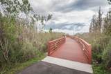 4197 Glade Wood Loop - Photo 84