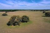  S Old Jones Rd Road - Photo 4