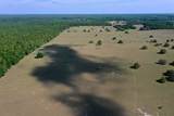  S Old Jones Rd Road - Photo 6