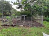 12445 Hamlin Road - Photo 20