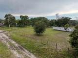 12445 Hamlin Road - Photo 5