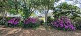 2910 Annapolis Avenue - Photo 54