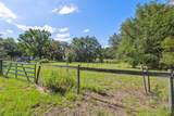 9850 Appaloosa Avenue - Photo 31