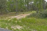 9452 Paradisea Drive - Photo 4