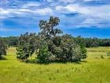 20089 Ayers Road - Photo 14