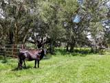 20089 Ayers Road - Photo 26