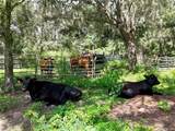 20089 Ayers Road - Photo 29