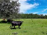 20089 Ayers Road - Photo 30