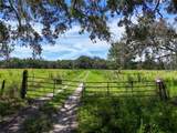 20089 Ayers Road - Photo 34
