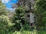 20089 Ayers Road - Photo 38
