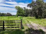 20089 Ayers Road - Photo 39