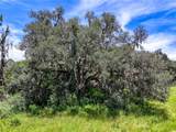20089 Ayers Road - Photo 40