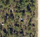 0 Scaup Duck Avenue - Photo 1
