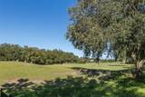 10653 Garda Drive - Photo 5