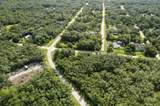  Bigelow Avenue - Photo 10