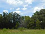 6681 Bedstrow Boulevard - Photo 1