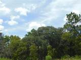 6681 Bedstrow Boulevard - Photo 2