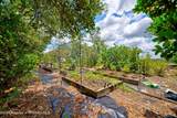 11422 Warm Wind Way - Photo 49