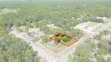 7303 Homosassa Trail - Photo 2