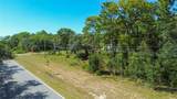 7303 Homosassa Trail - Photo 5