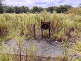 14385 Highway 484 - Photo 9