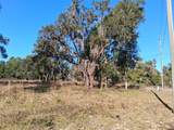 0 Long Circle - Photo 2