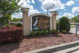 13097 Pastore Court - Photo 67