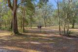 5248 Neff Lake Road - Photo 87