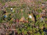 5248 Neff Lake Road - Photo 89