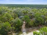15236 Mottled Owl Road - Photo 13