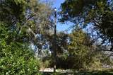 18117 Branch Road - Photo 10
